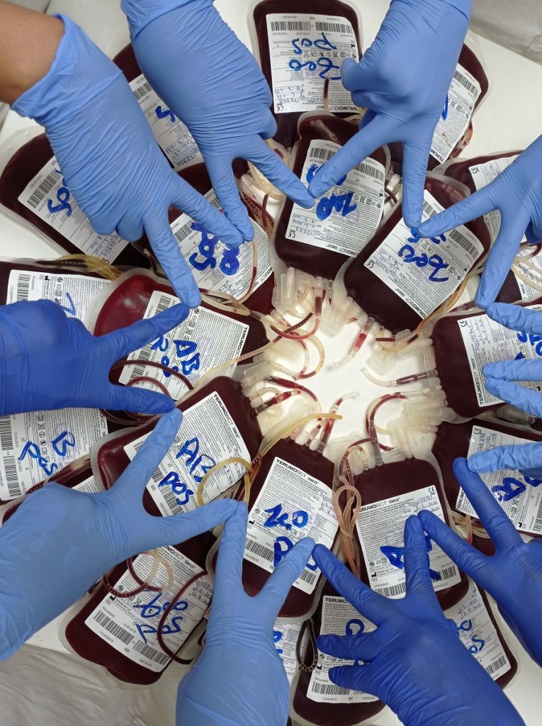Sudan: dentro la &ldquo;Banca del sangue&rdquo; di un ospedale di EMERGENCY